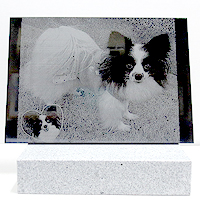 和型墓石（蓮華付）